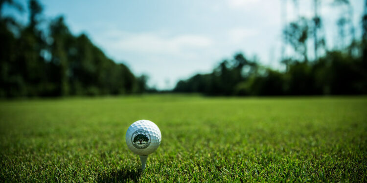 In golf, what name is given to a hole score of two under par?