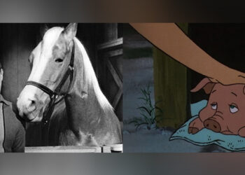 Which talking TV animal did you prefer?