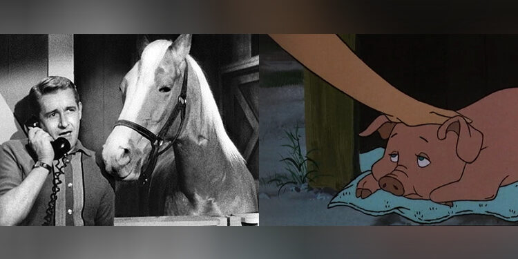 Which talking TV animal did you prefer?
