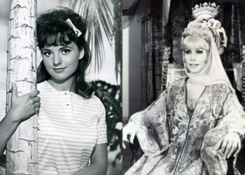 Did you crush on Mary Ann of Gilligan or did you dream of Jeannie?