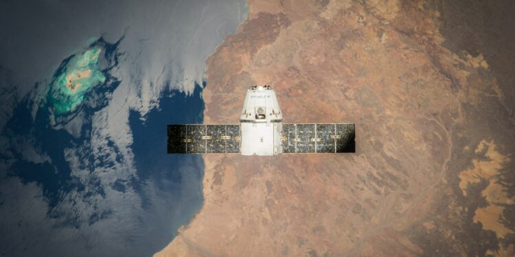 What was the first animal to orbit the earth?