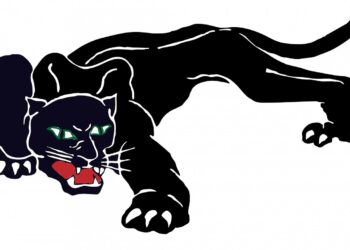 In which year was the Black Panther Party founded?