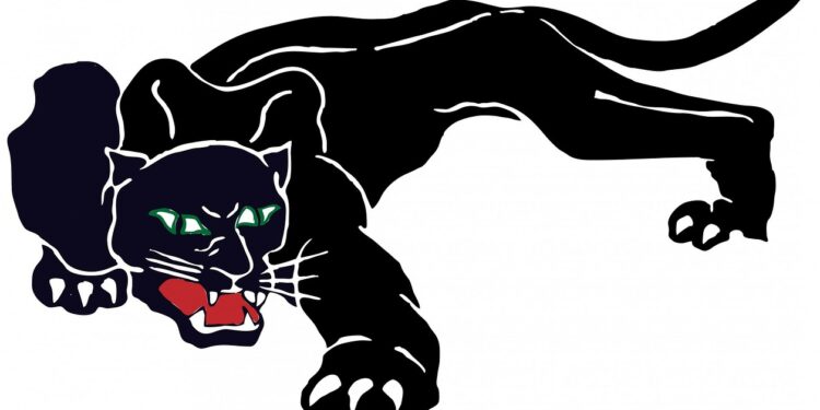 In which year was the Black Panther Party founded?