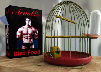 In the movie Pumping Iron, Arnold Schwarzenegger has won the Mr.Olympia title how many times before going into competition once again?