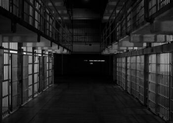 Should Felons Be Allowed To Vote Like Democrats Want?