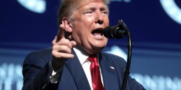 Is Trump Being Targeted Solely For Political Reasons?