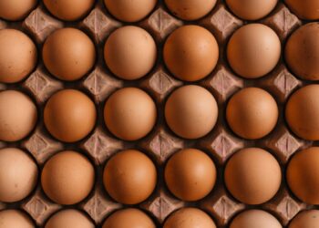 Are High Egg Prices Trump’s Fault?