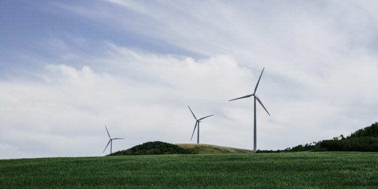 Trump Calls Windmills Bogus, Is He Right?